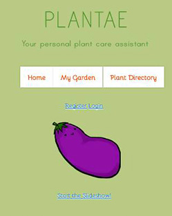 Plantae